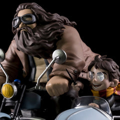 Photo of Harry Potter and Rubeus Hagrid Limited Edition Q-Fig Max